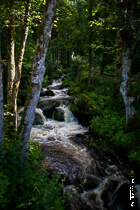 triberg-alemania